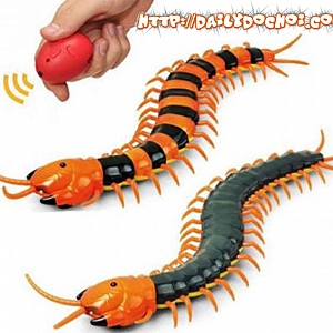 K27 RẾT ĐIỀU KHIỂN TỪ XA CỰC ...