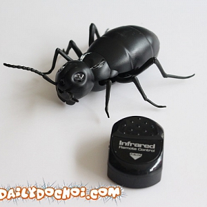 K28 KIẾN ĐIỀU KHIỂN TỪ XA NGỘ ...